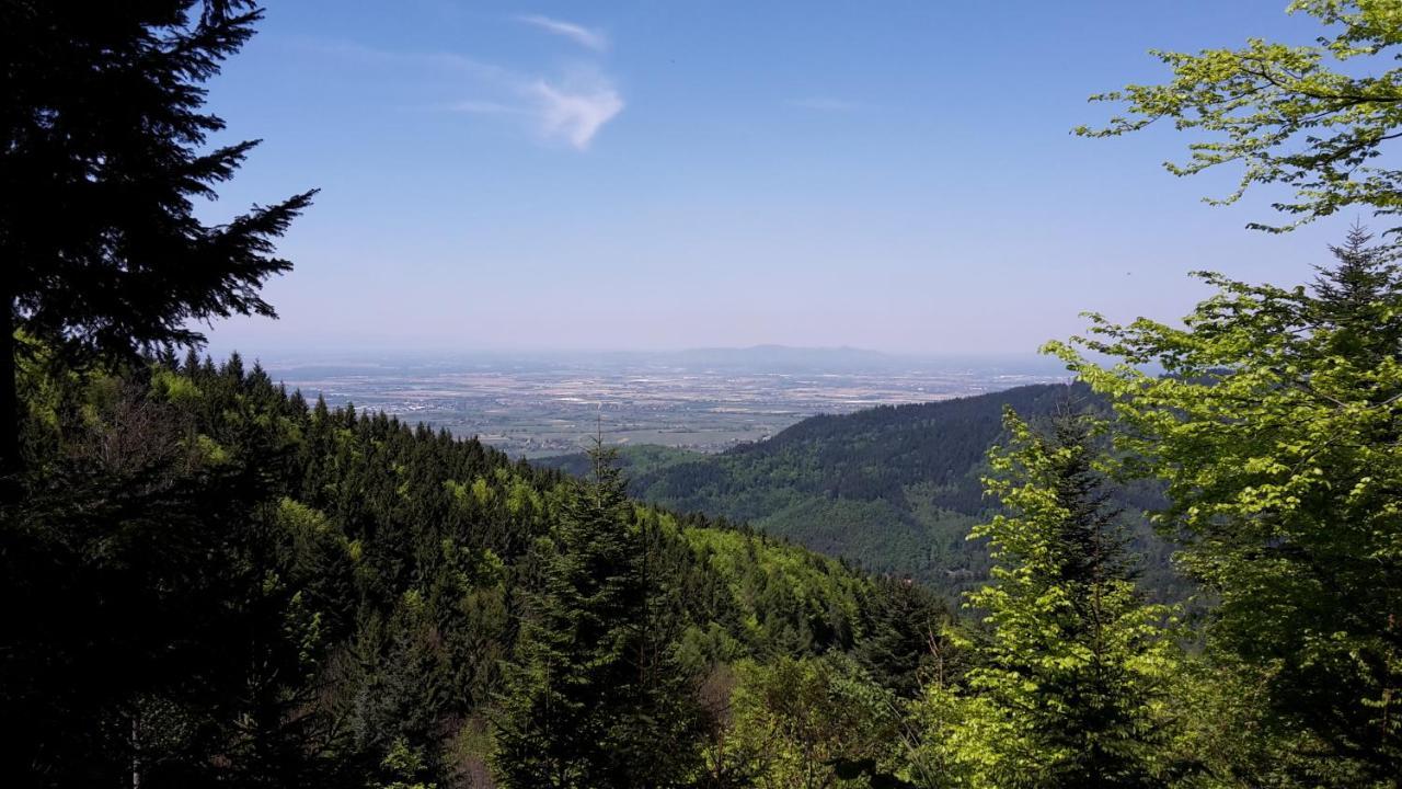 Relais & Chateaux Hotel Schwarzmatt Badenweiler Ngoại thất bức ảnh